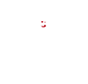 Chef Experience
